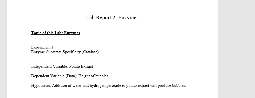 Lab Report 2